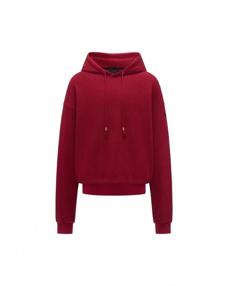 202601061155131890505587